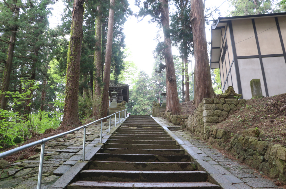 Omisaka Steps